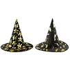 pumpkin witch halloween costume